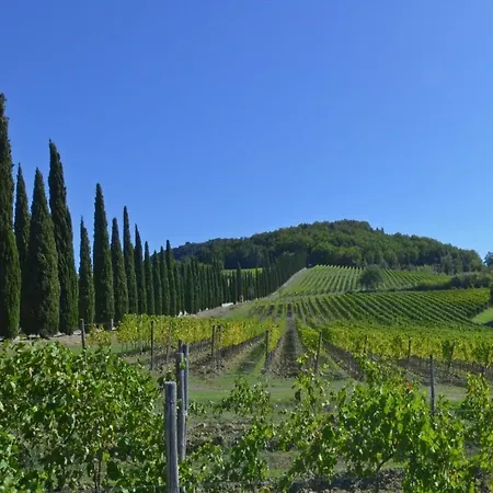 Paradiso