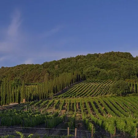 Villa Paradiso
